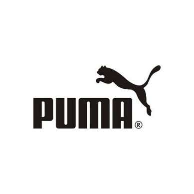 ZAPATILLA PUMA MUJER RUNNING  FLEXFOCUS LITE 379535 03 ROSA