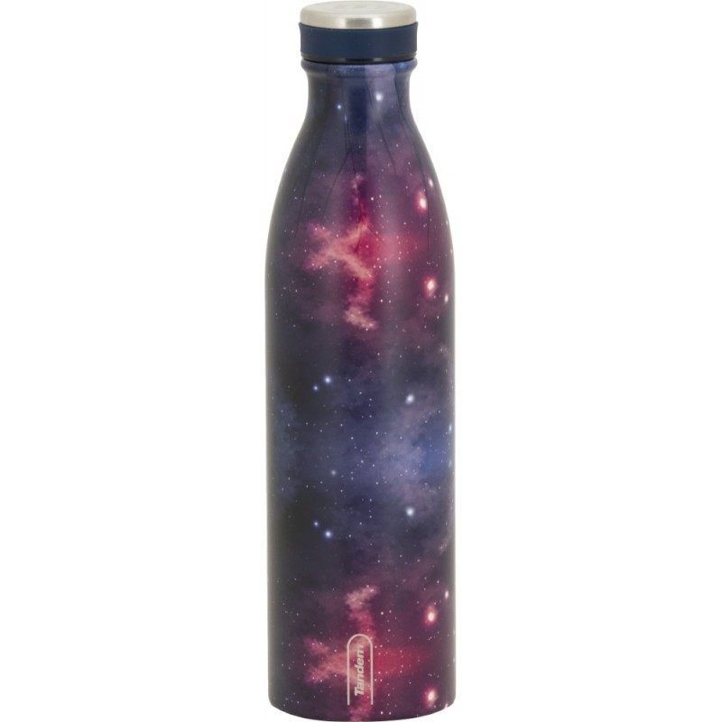 BOTELLA TÉRMICA 750ML 611619 PLATA Y MORADO